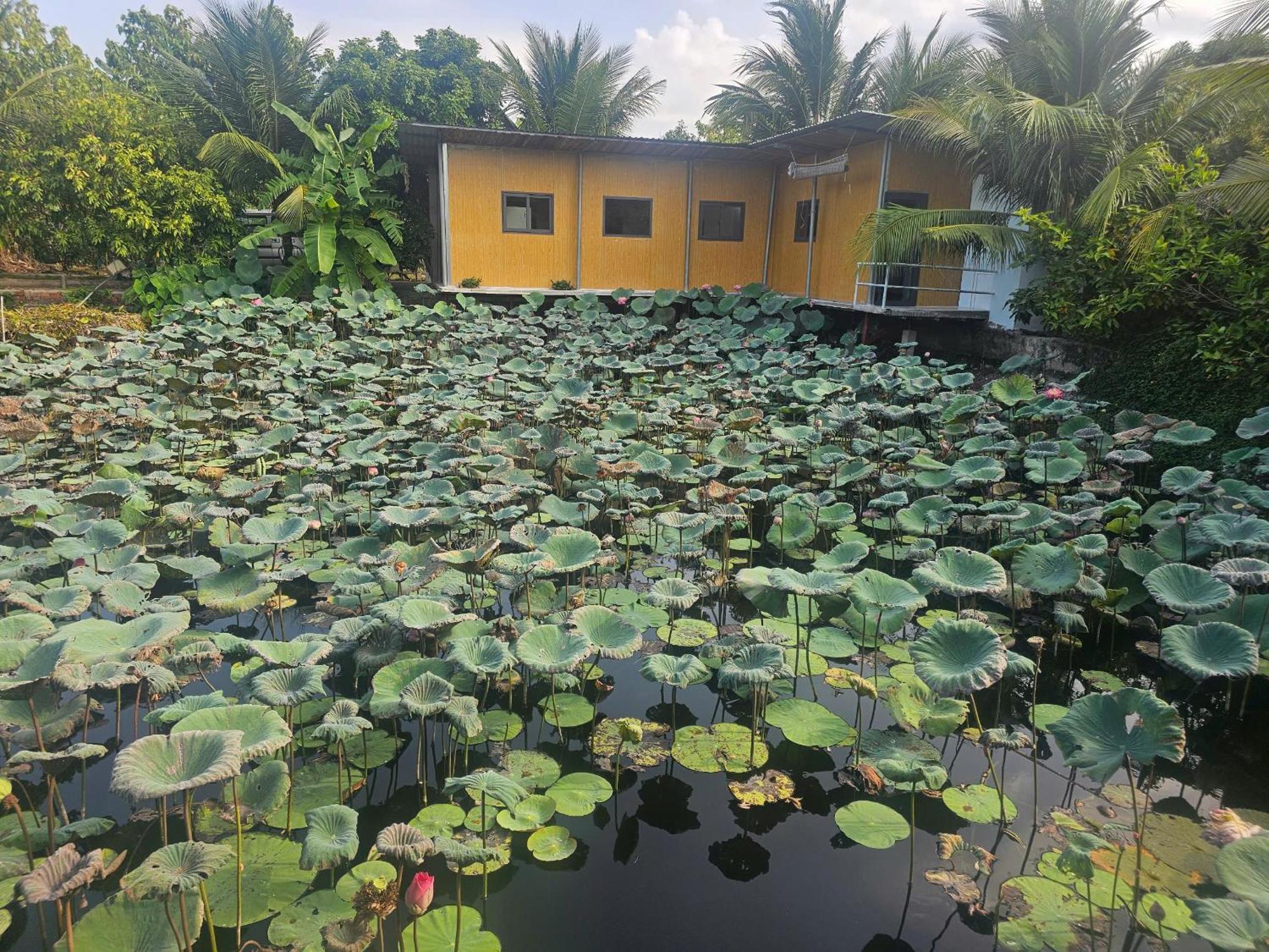 Homestay Sen & Zen Villa Vung Tau Exterior photo